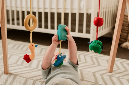 QToys Australia (USA) BABY GYM